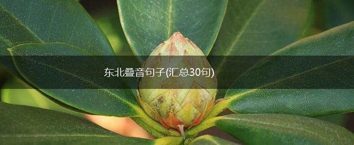东北叠音句子(汇总30句),第1张
