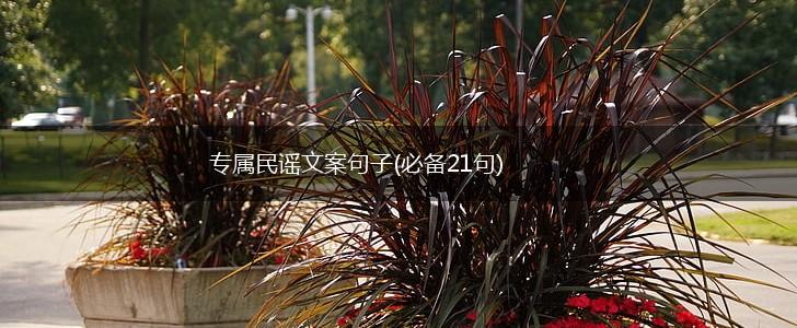 专属民谣文案句子(必备21句),第1张