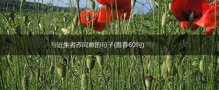 与近朱者赤同意的句子(推荐60句),第1张