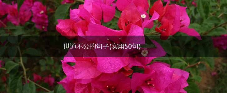世道不公的句子(实用50句),第1张