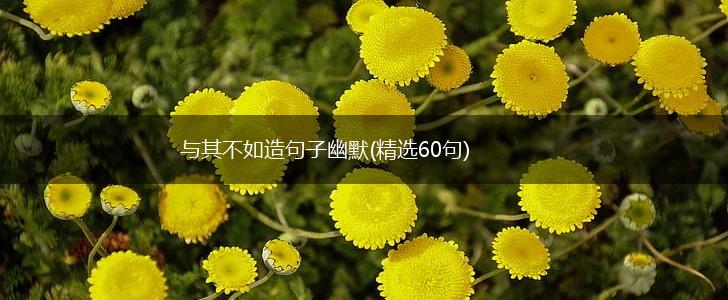 与其不如造句子幽默(精选60句),第1张