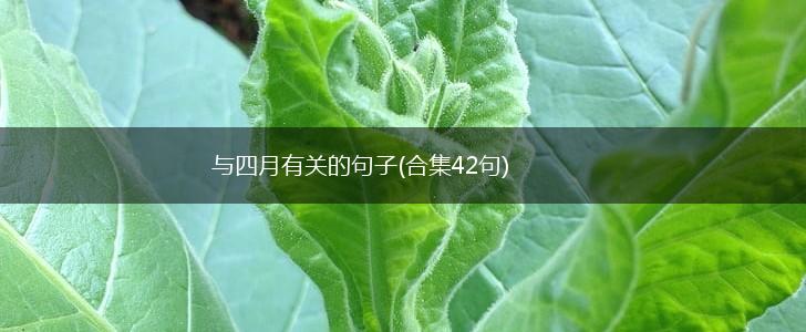 与四月有关的句子(合集42句),第1张