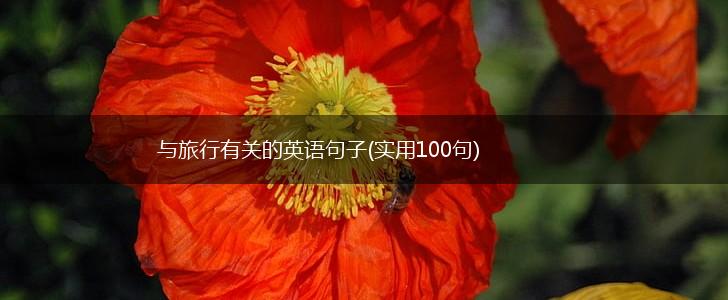 与旅行有关的英语句子(实用100句),第1张