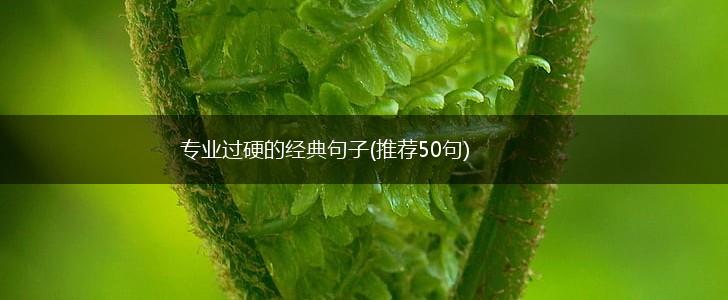 专业过硬的经典句子(推荐50句),第1张