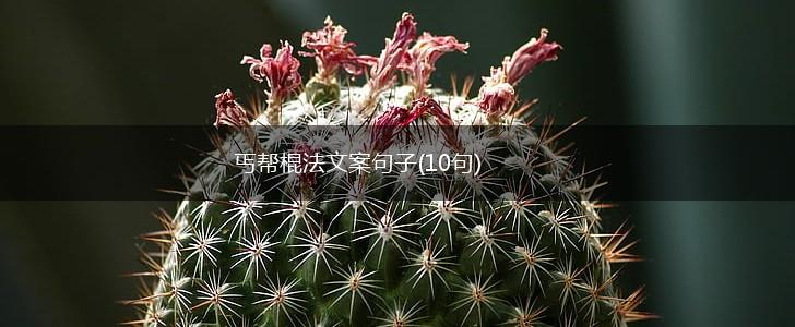 丐帮棍法文案句子(10句),第1张