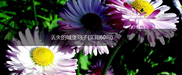 丢失的城堡句子(实用60句),第1张