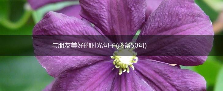 与朋友美好的时光句子(必备50句),第1张