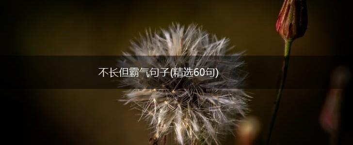 不长但霸气句子(精选60句),第1张