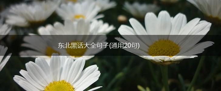 东北黑话大全句子(通用20句),第1张