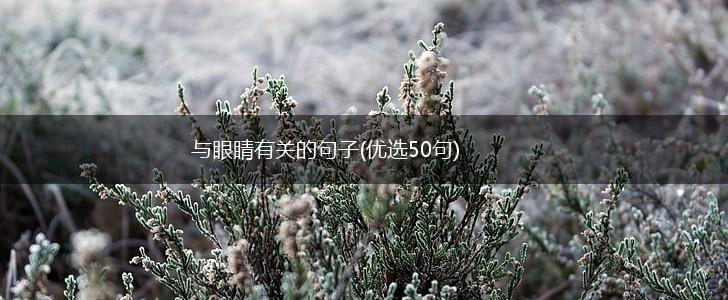 与眼睛有关的句子(优选50句),第1张