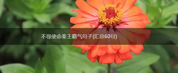 不辱使命秦王霸气句子(汇总60句),第1张