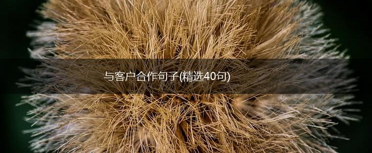 与客户合作句子(精选40句),第1张