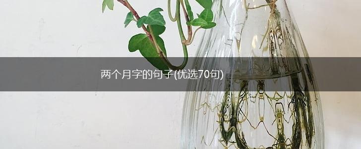两个月字的句子(优选70句),第1张
