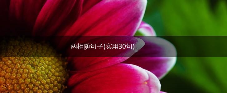 两相随句子(实用30句),第1张