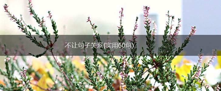 不让句子关系(实用60句),第1张