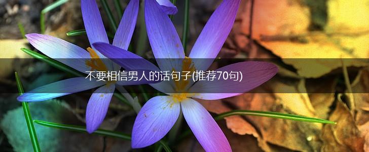 不要相信男人的话句子(推荐70句),第1张