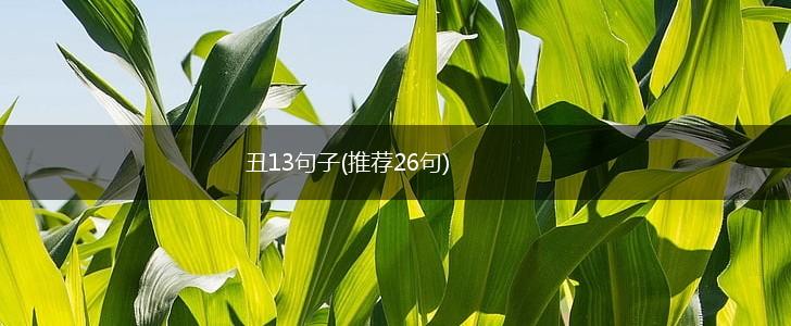 丑13句子(推荐26句),第1张
