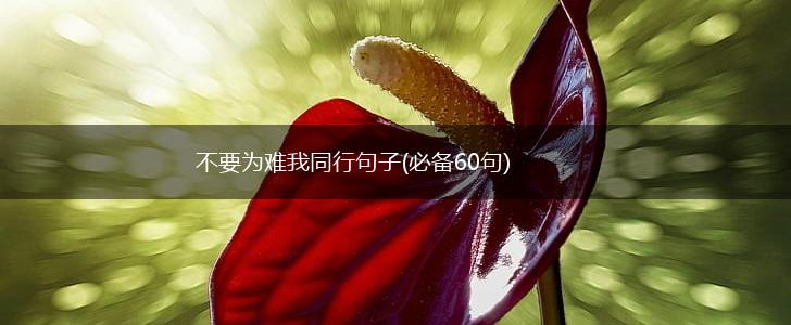 不要为难我同行句子(必备60句),第1张