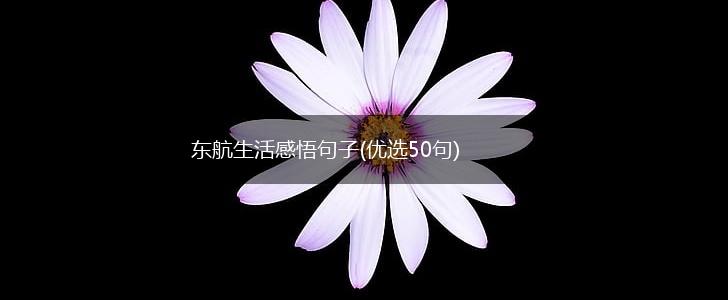 东航生活感悟句子(优选50句),第1张