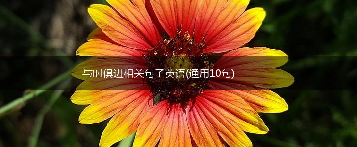 与时俱进相关句子英语(通用10句),第1张