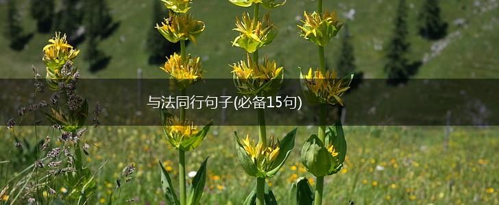 与法同行句子(必备15句),第1张