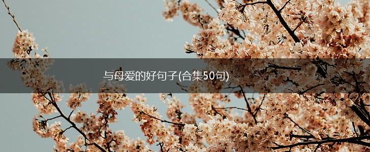 与母爱的好句子(合集50句),第1张