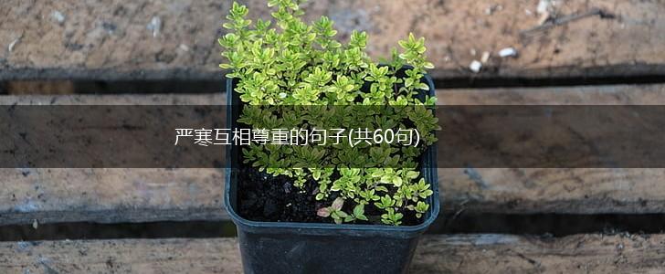 严寒互相尊重的句子(共60句),第1张