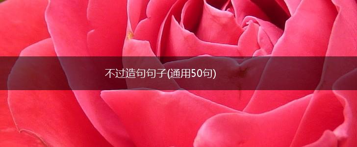 不过造句句子(通用50句),第1张