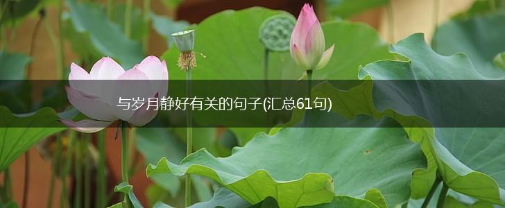 与岁月静好有关的句子(汇总61句),第1张