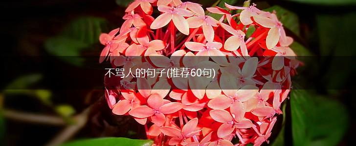 不骂人的句子(推荐60句),第1张