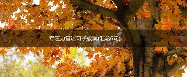 专注力复述句子教案(汇总6句),第1张