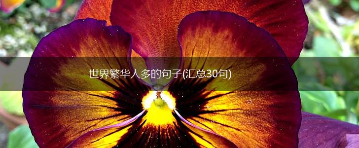 世界繁华人多的句子(汇总30句),第1张