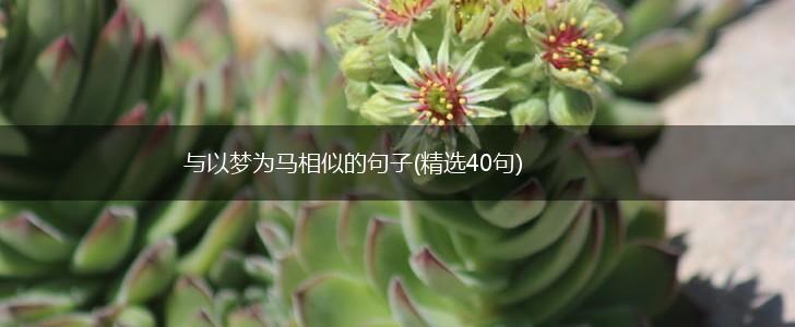 与以梦为马相似的句子(精选40句),第1张