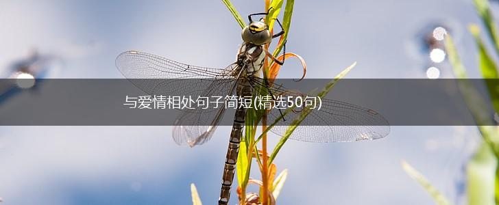 与爱情相处句子简短(精选50句),第1张