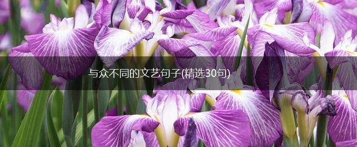 与众不同的文艺句子(精选30句),第1张