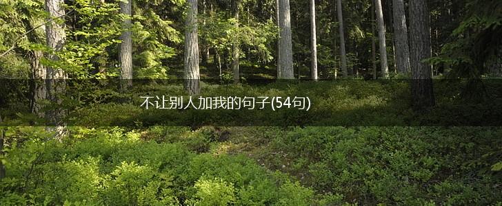 不让别人加我的句子(54句),第1张