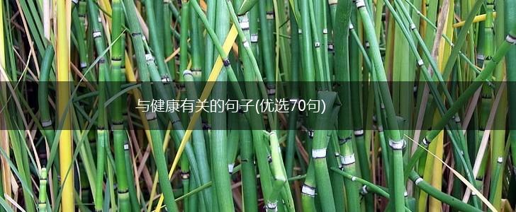与健康有关的句子(优选70句),第1张