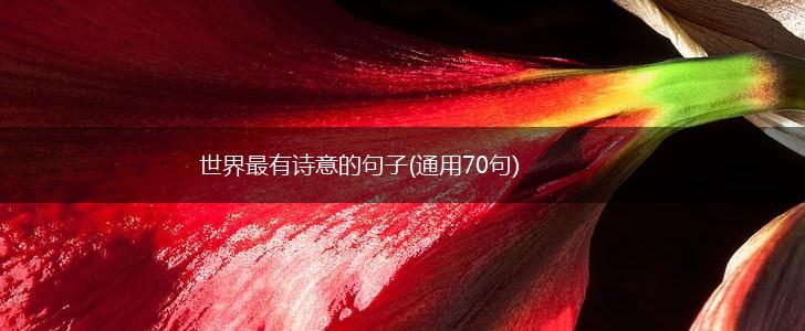 世界最有诗意的句子(通用70句),第1张