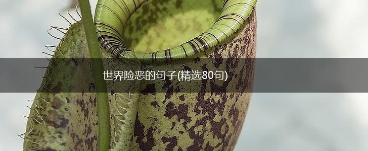 世界险恶的句子(精选80句),第1张