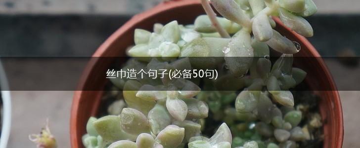 丝巾造个句子(必备50句),第1张
