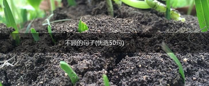 不顾的句子(优选50句),第1张