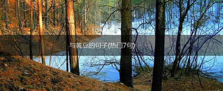 与黄豆的句子(热门7句),第1张