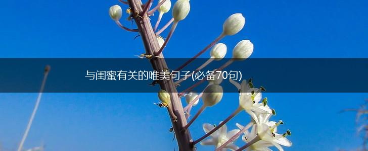 与闺蜜有关的唯美句子(必备70句),第1张