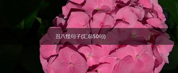 丑八怪句子(汇总50句),第1张