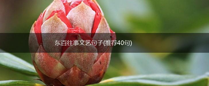 东百往事文艺句子(推荐40句),第1张
