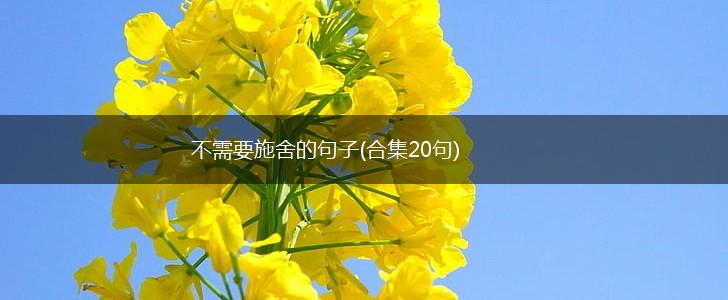 不需要施舍的句子(合集20句),第1张
