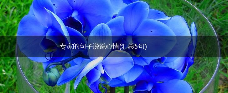 专家的句子说说心情(汇总5句),第1张