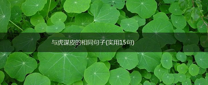 与虎谋皮的相同句子(实用15句),第1张