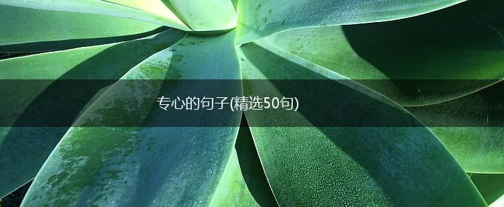 专心的句子(精选50句),第1张