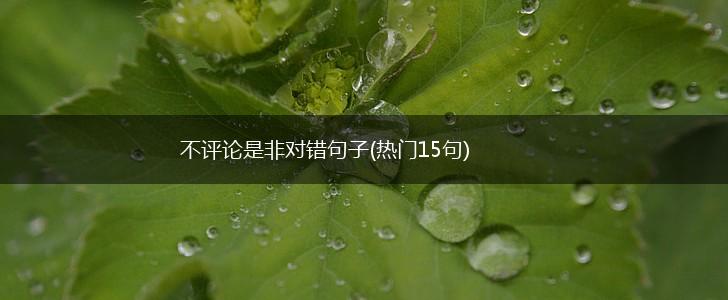 不评论是非对错句子(热门15句),第1张